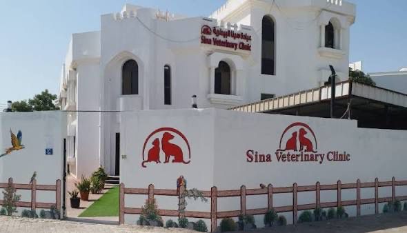 Sina Veterinary Clinic